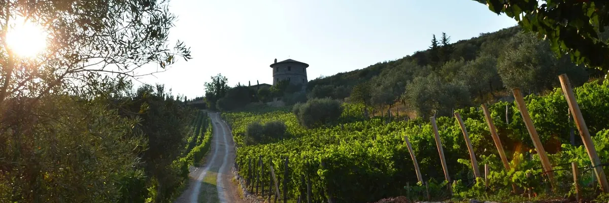 La Tour Melas Winery Header