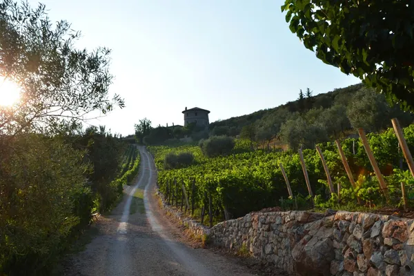 La Tour Melas Winery