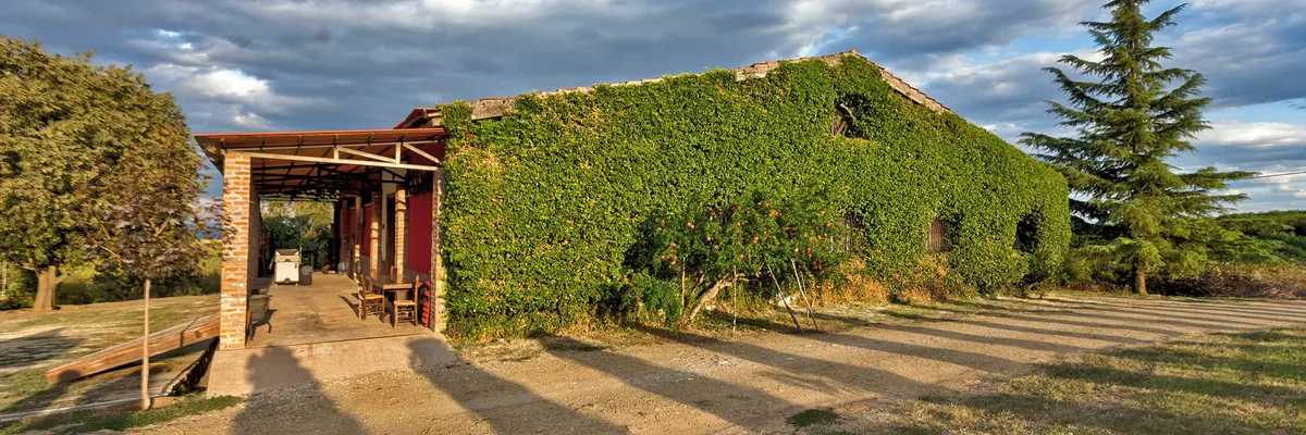 markovitis Winery Header