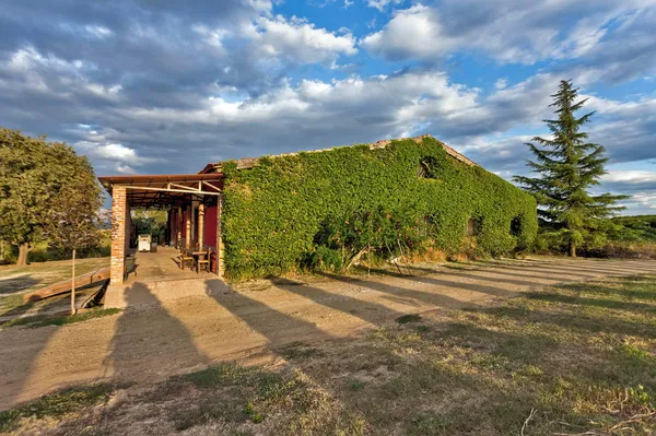 Markovitis Winery Winery