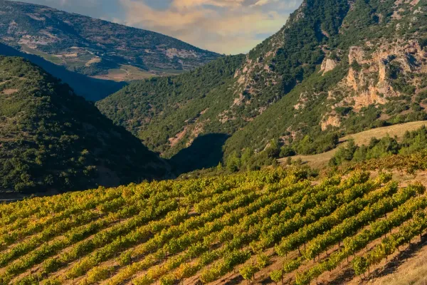 Palivou Estate Winery