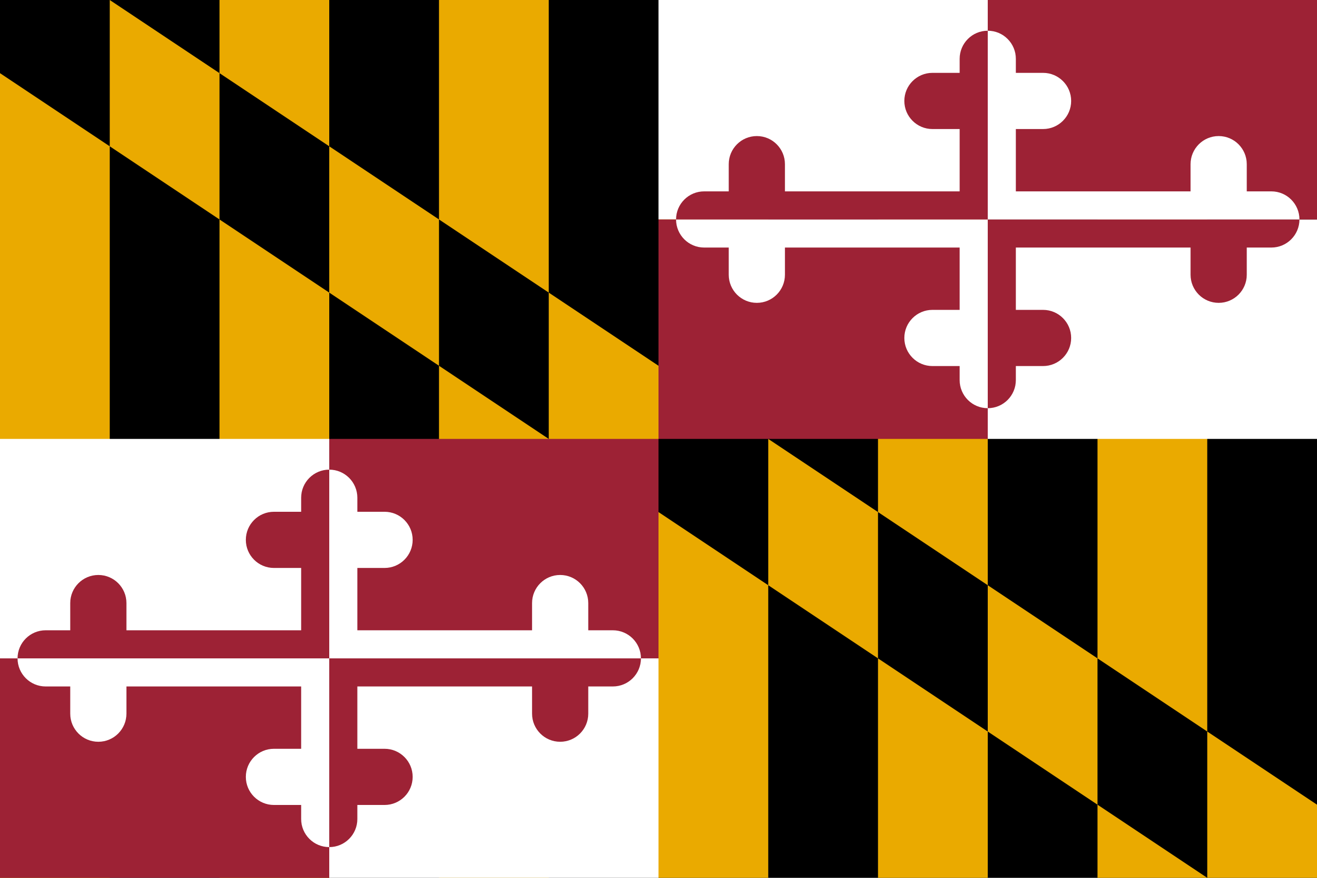 Maryland & DC flag